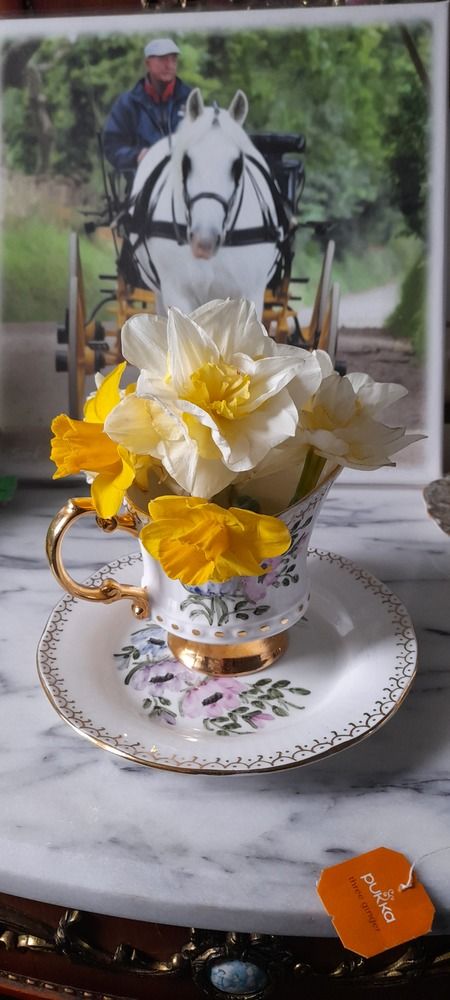 Still life
