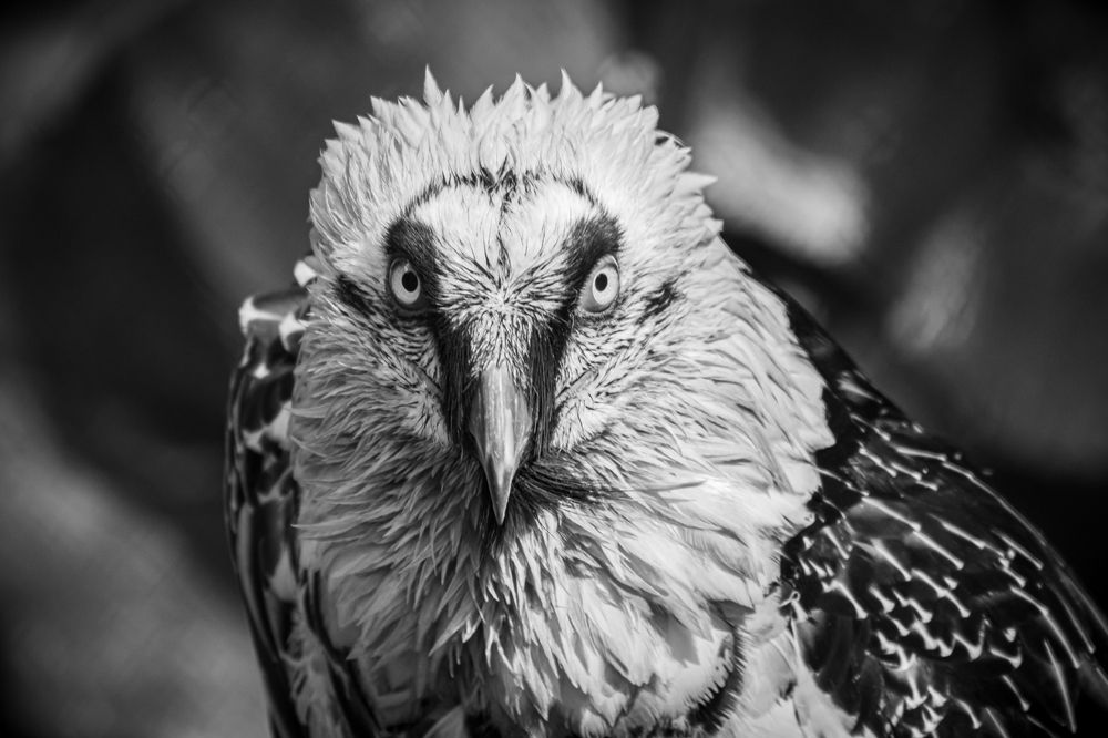 Photograph by Елена Берсенёва