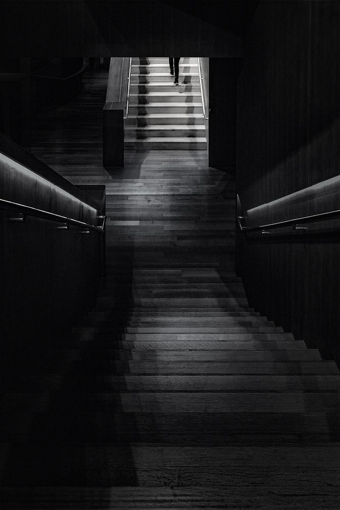 Photograph by Zhenhuan Zhou