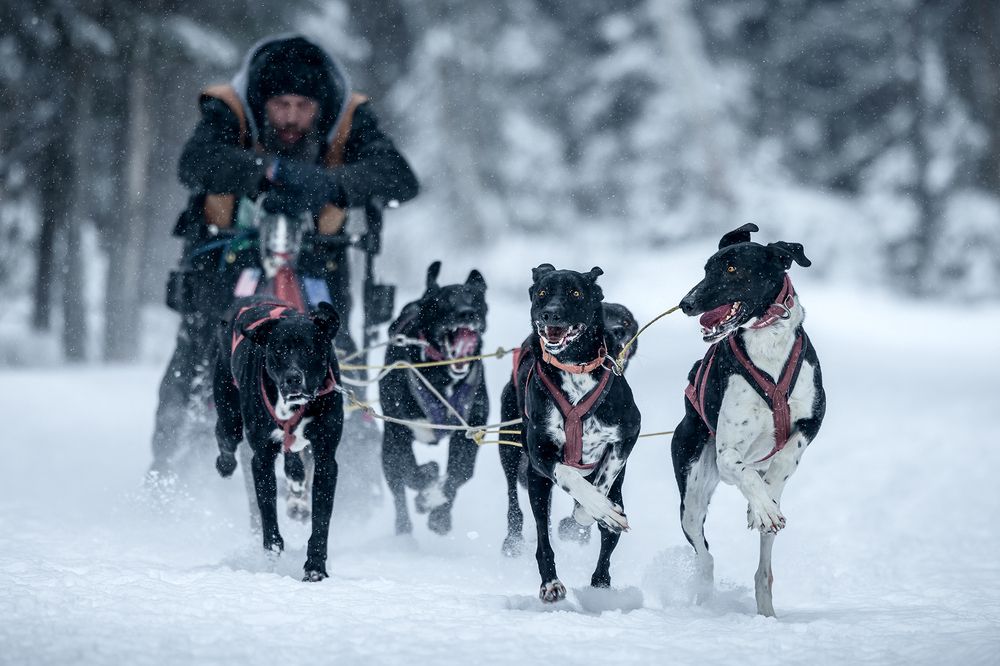 Photograph by Zhenhuan Zhou