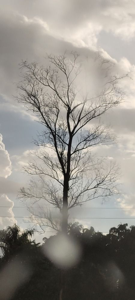 Photograph by Gilson Marcos Ferreira de OLIVEIRA