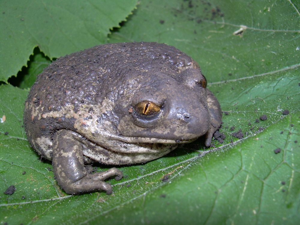 Photograph by Михаил Трусов