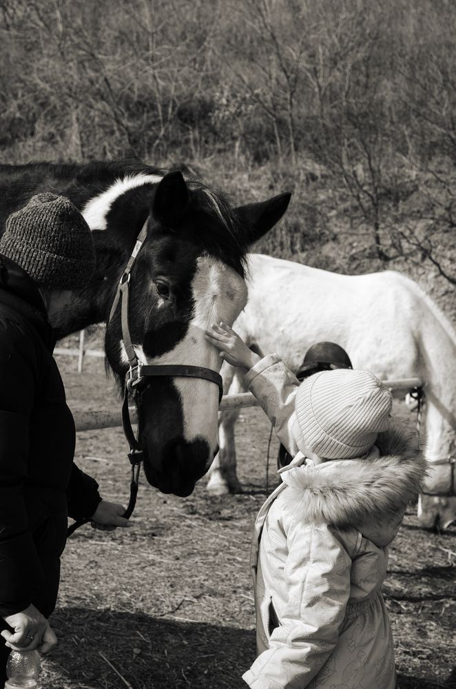 Фотография автора Мария Сидорова