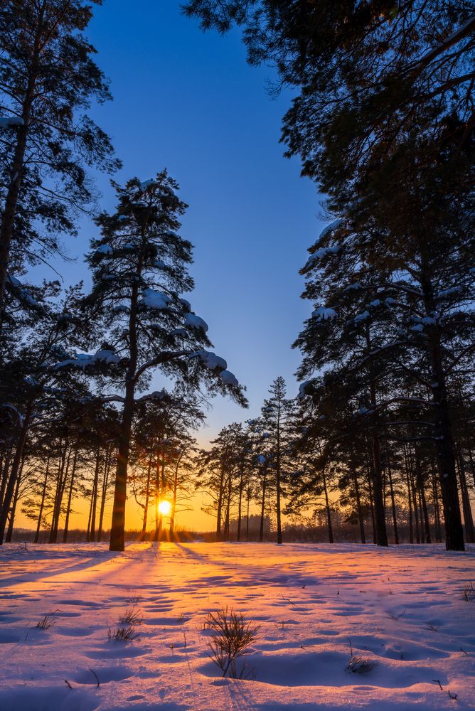 Photograph by Александр