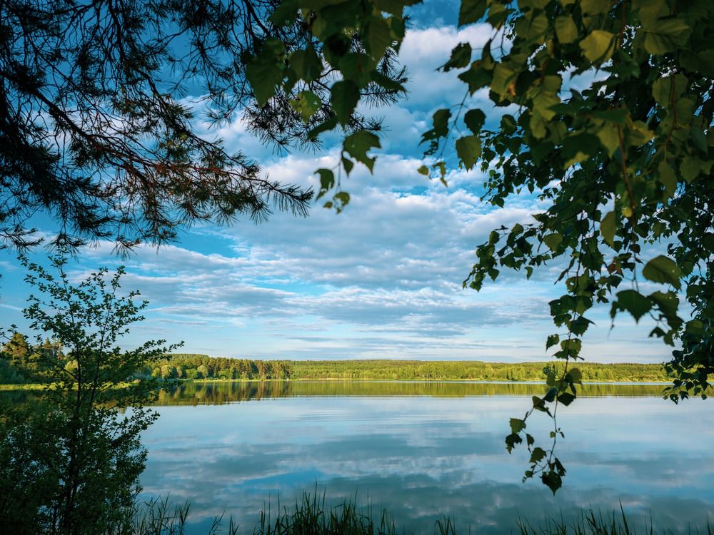 Photograph by Кирилл Сидоров