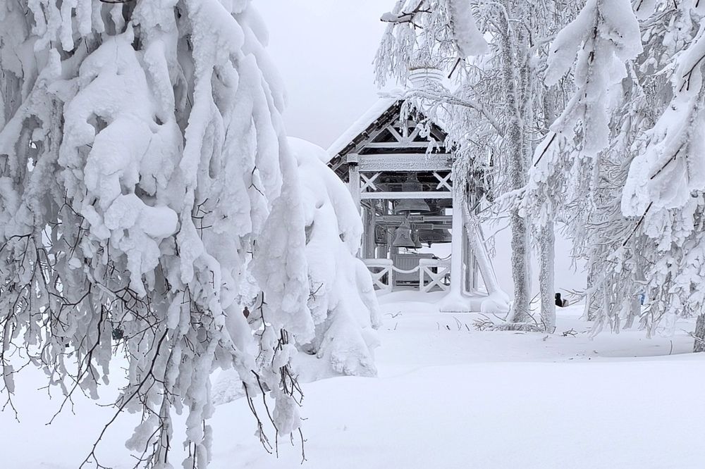 Photograph by Юлия Трап