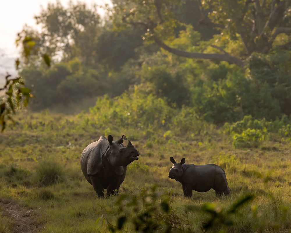 Photograph by Nikhil Parnandi