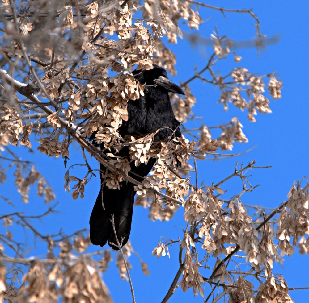 Photograph by Михаил Король