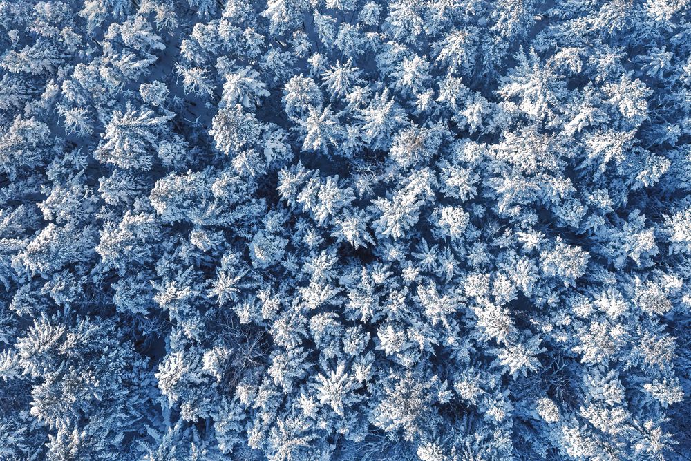 Photograph by Вероника Романенко