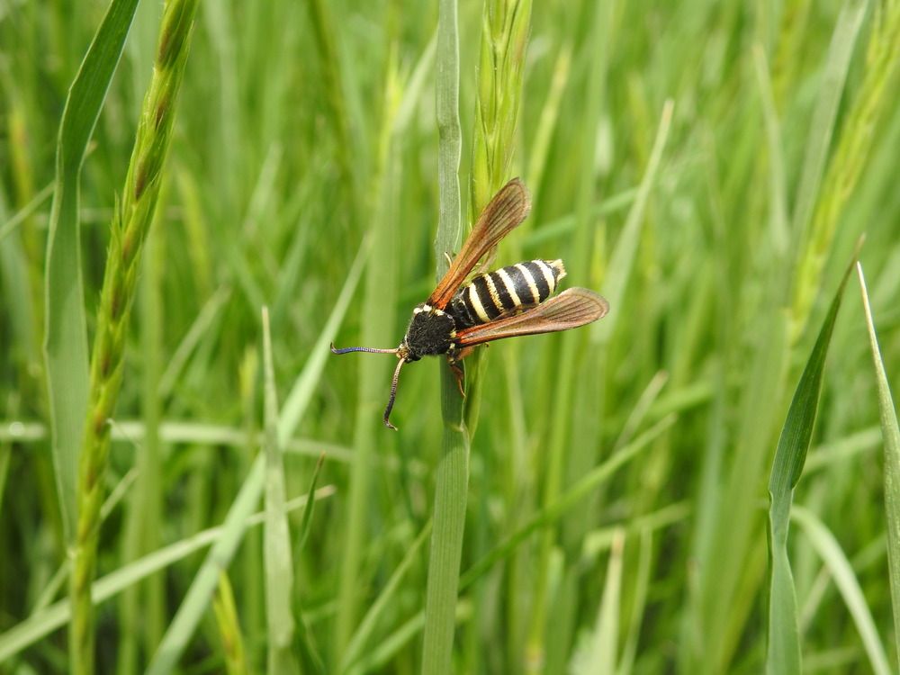 Photograph by Basan Baatarsuren