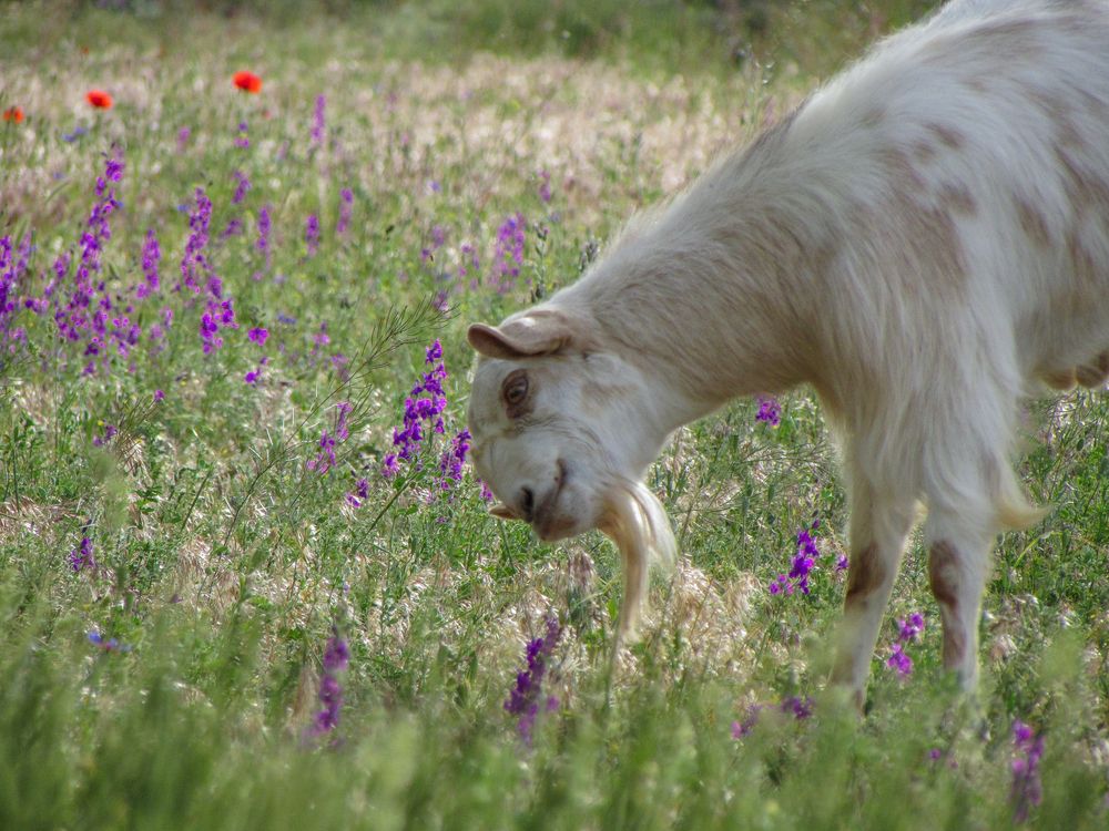 Photograph by Moein Gheysari