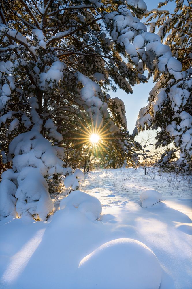 Photograph by Александр