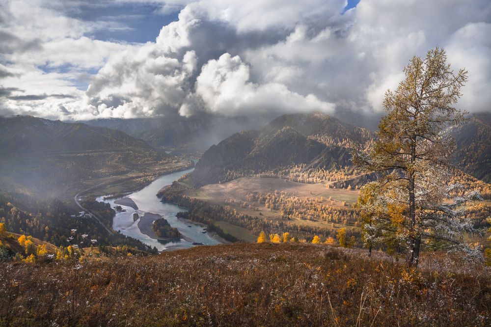 Доброе утро