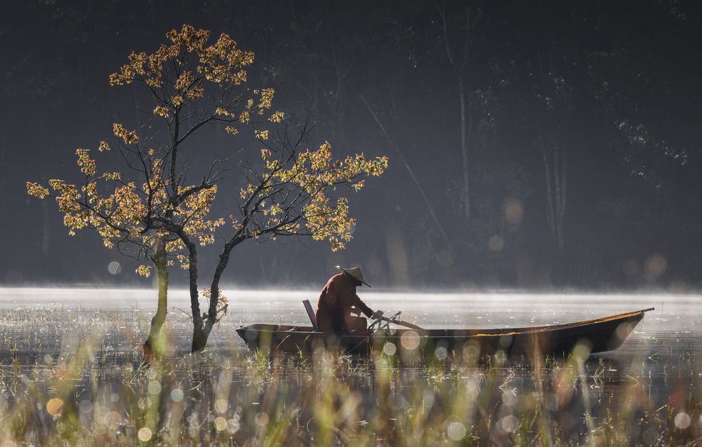 Фотография автора NGUYEN NGOC SON