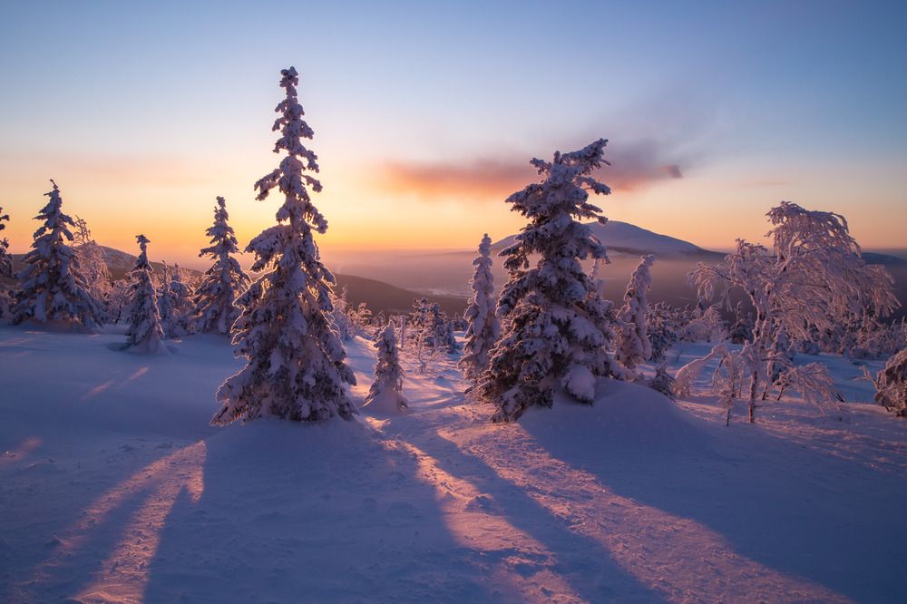 Photograph by Алексей Путилов