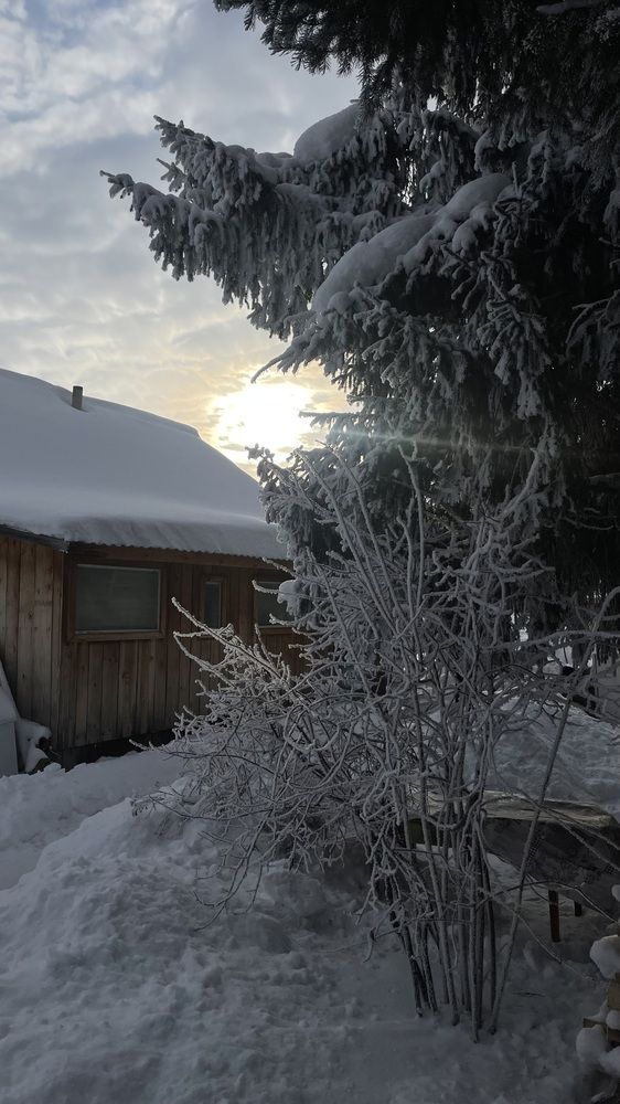 Photograph by Елена Тертишникова