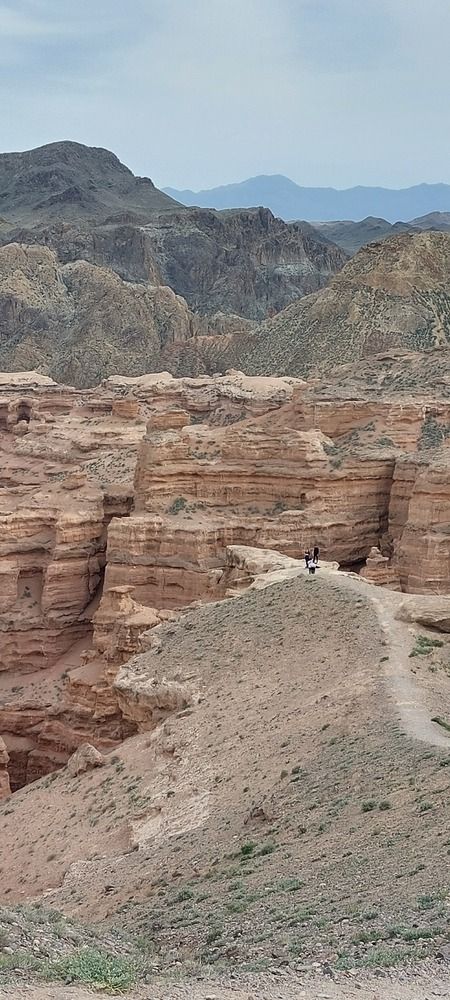 Photograph by Эльвира