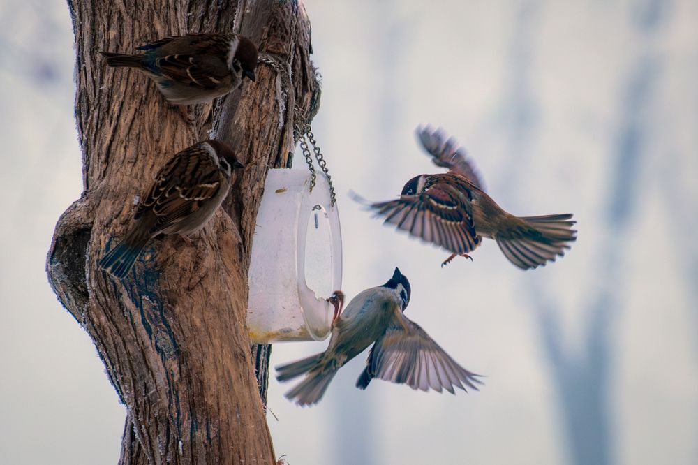 Photograph by Наталья Максимова