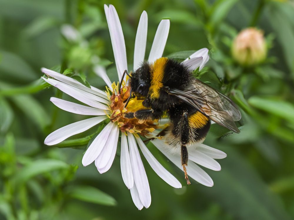 Photograph by Борис Полтавец
