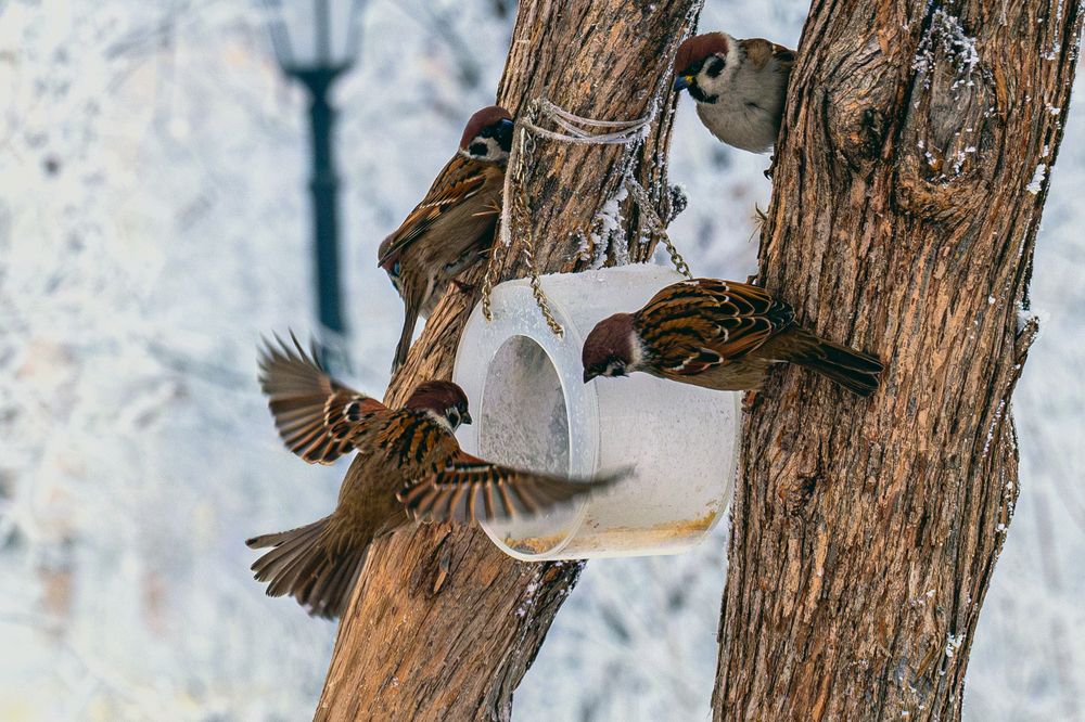 Photograph by Наталья Максимова