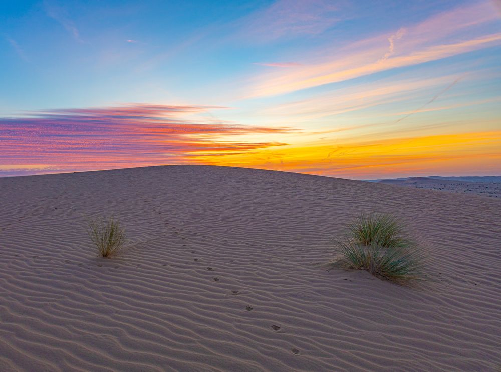 Photograph by Ekaterina Narozhnova