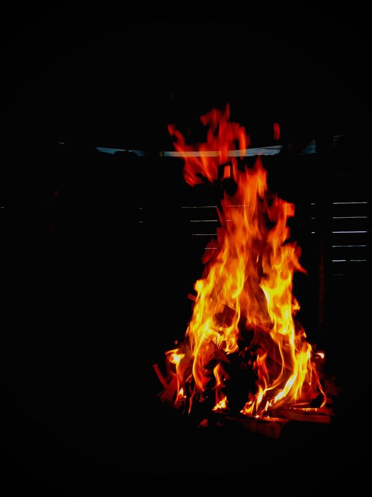 Photograph by Светлана Долганова