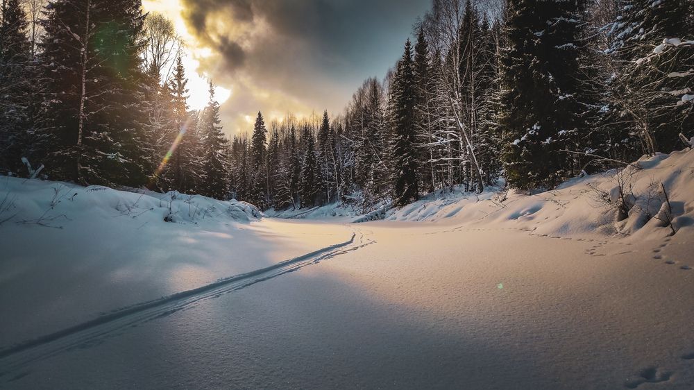 Photograph by Евгений Собашников