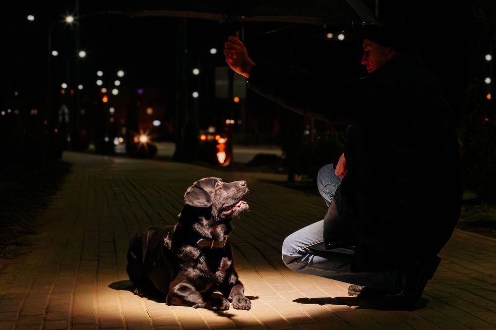 Photograph by Надежда Губина