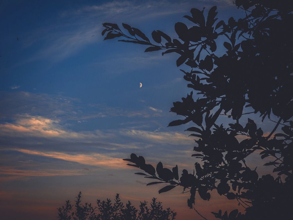 Photograph by Кирилл Сидоров