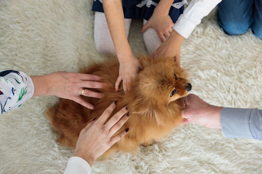 Photograph by Александр Леонтьев