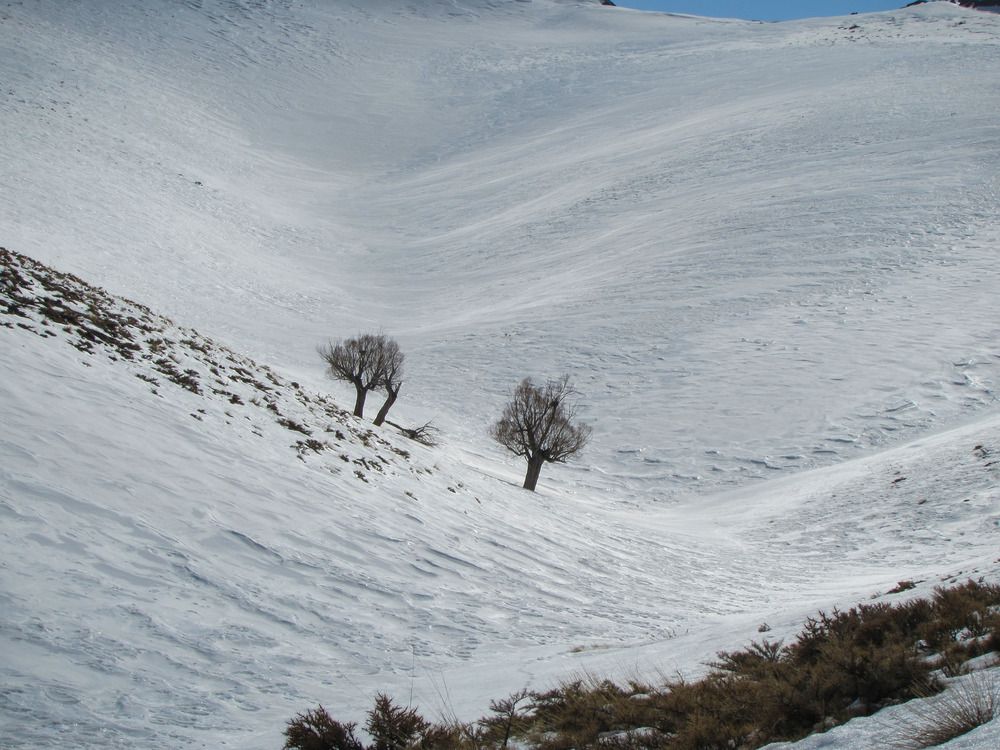 Photograph by Moein Gheysari