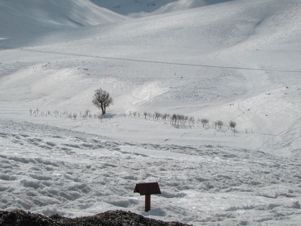 Photograph by Moein Gheysari