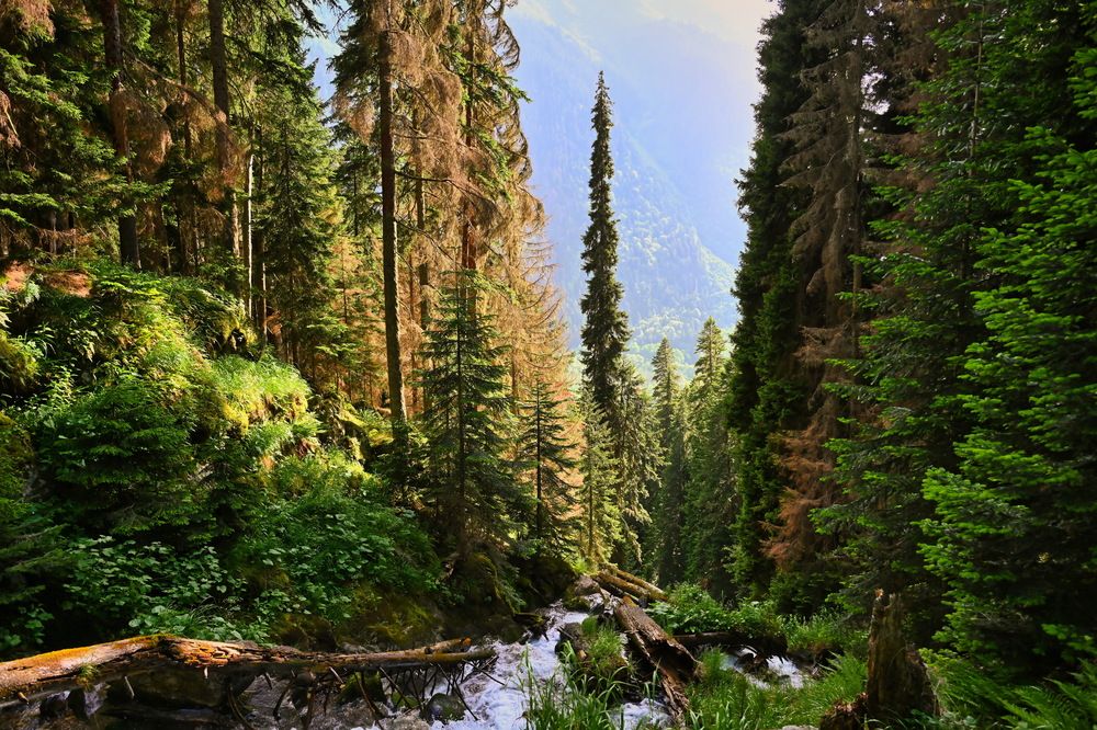 Photograph by Демин Павел