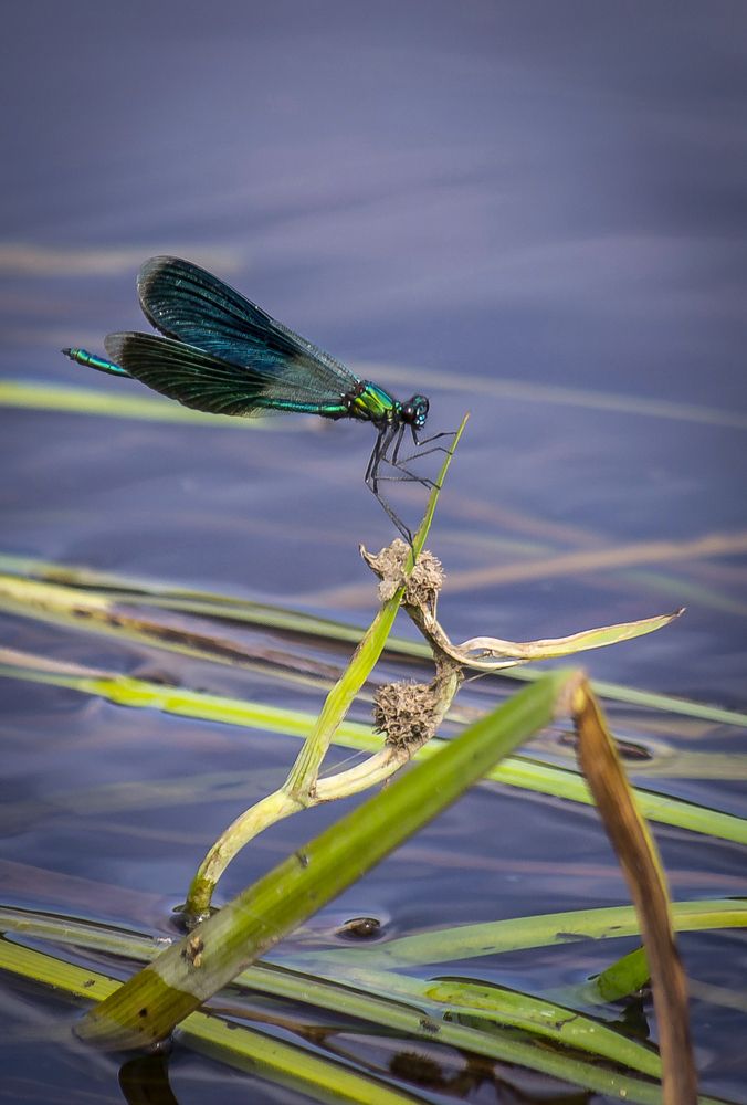 Фотография автора Геннадий Коробов