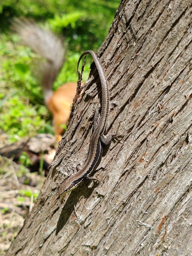 Фотография автора Galya