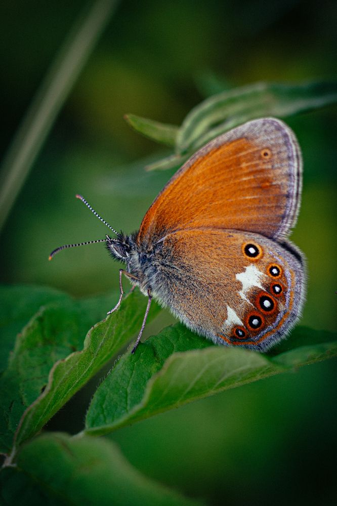 Photograph by Анна Осинцева