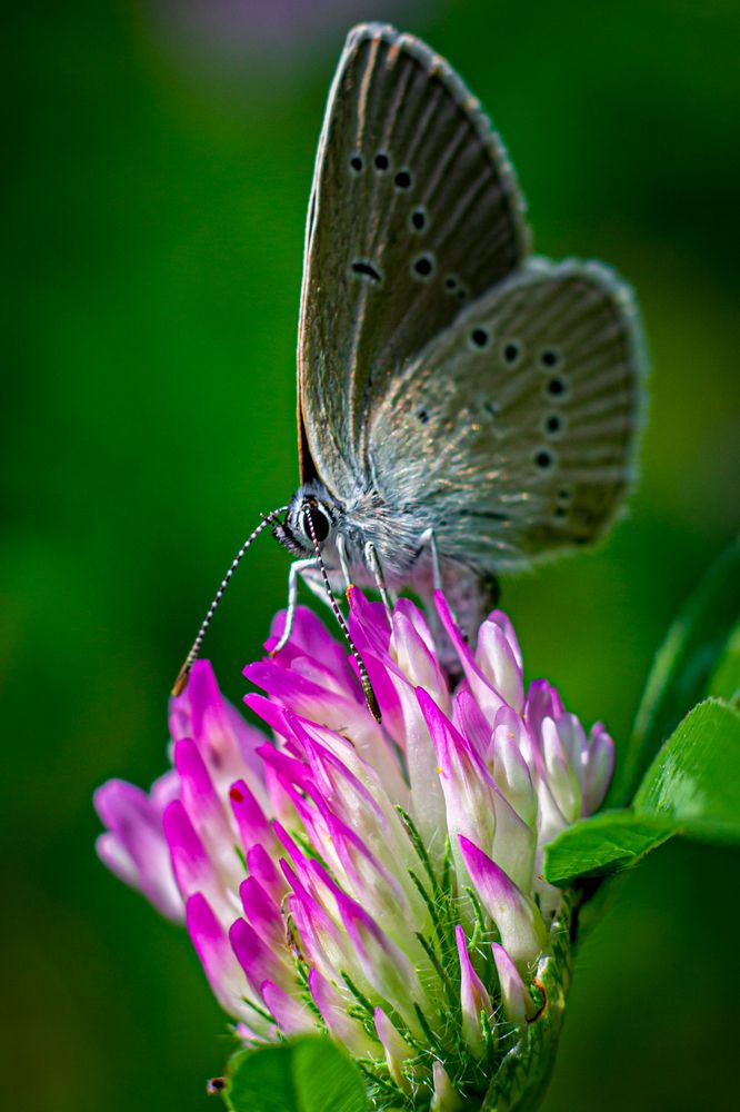 Photograph by Анна Осинцева