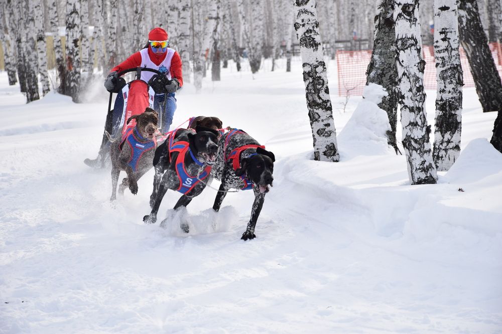 Photograph by Ирина Шабанова