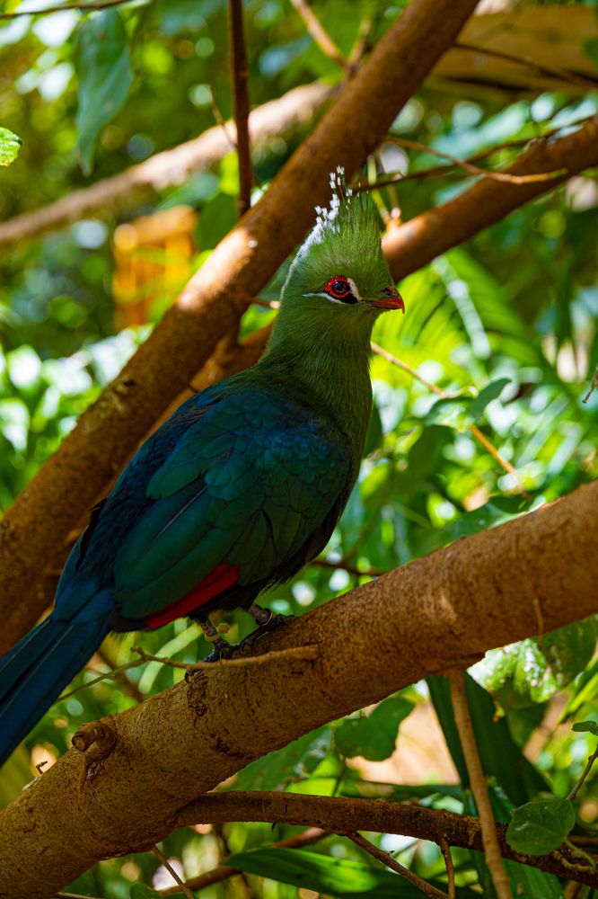 Photograph by Ekaterina Narozhnova