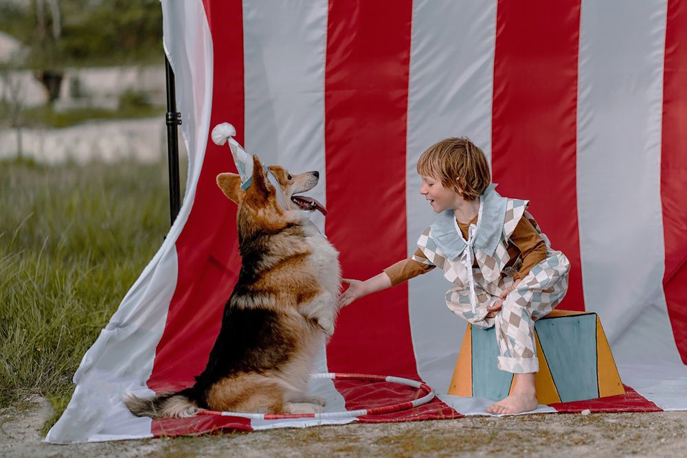 Photograph by Заручевская Надежда