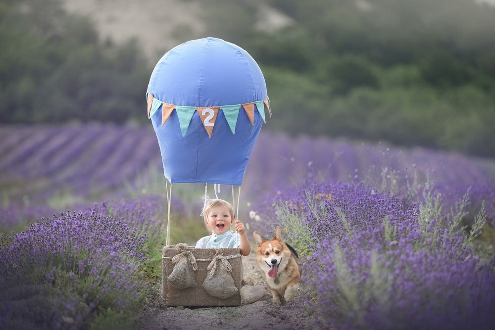 Photograph by Заручевская Надежда