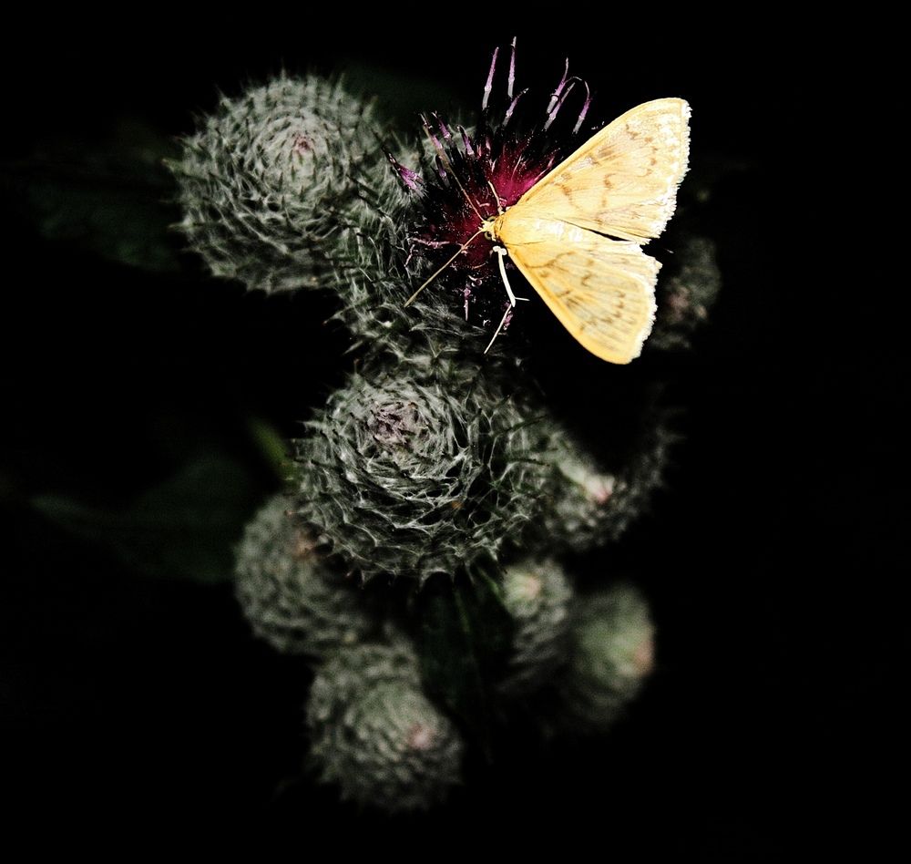 Photograph by Серёга Ануфриев