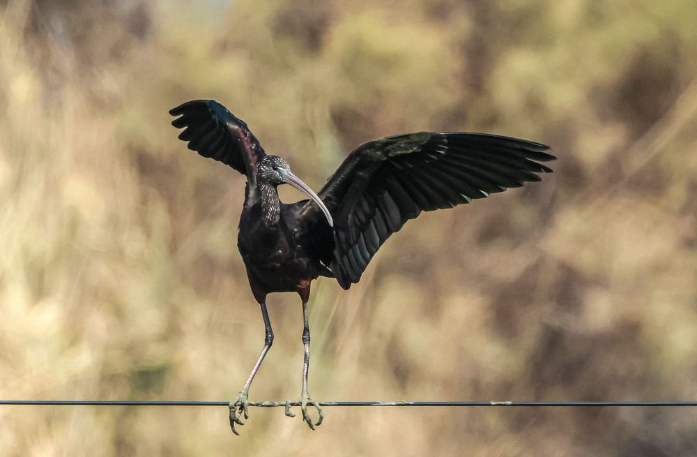 Photograph by Валентина Лопаткина