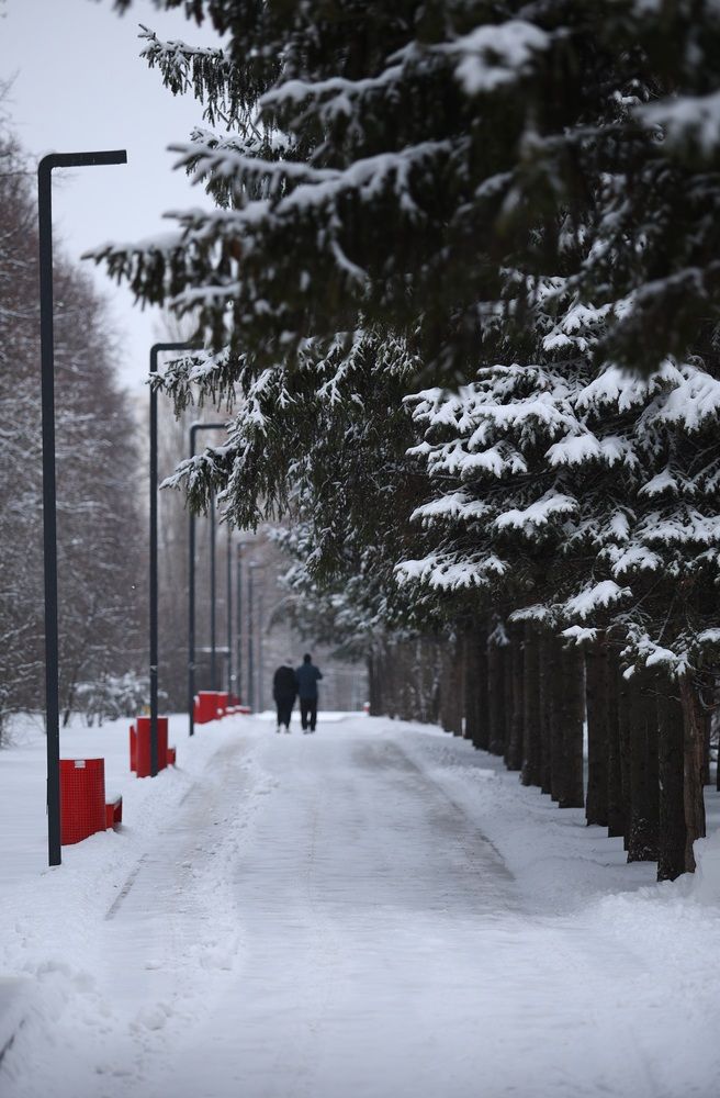 Фотография автора Иван Безрядин