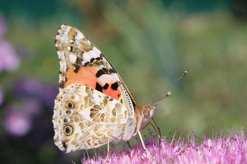 Photograph by Юлия Чурина