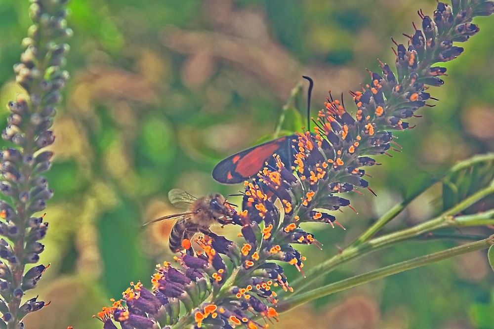 Photograph by Roman Popov