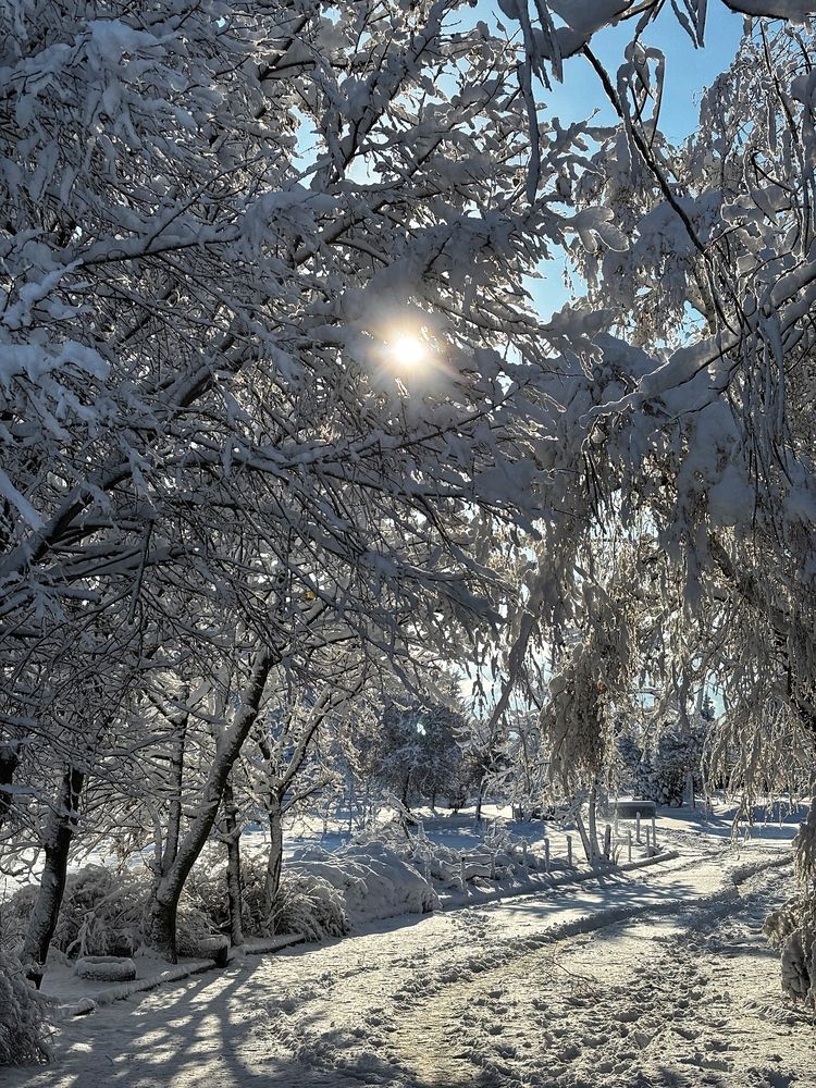 Photograph by Дмитрий Бадальянц