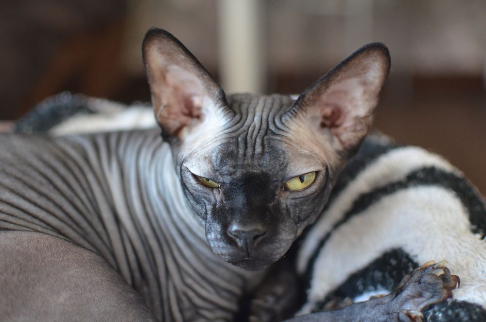 Photograph by Евгений Ненахов