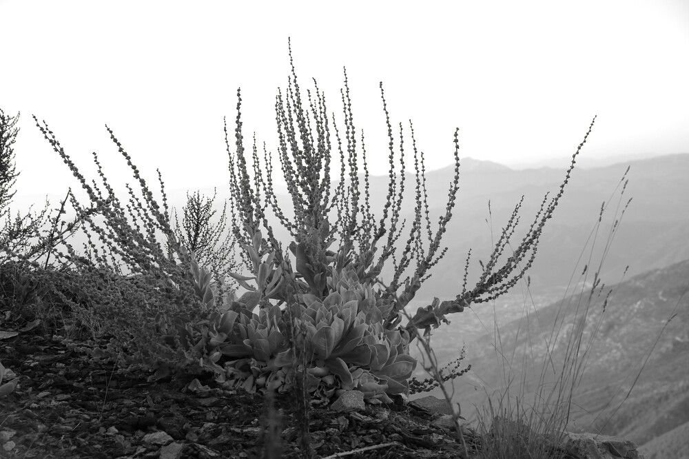 Photograph by Марина Юрченко