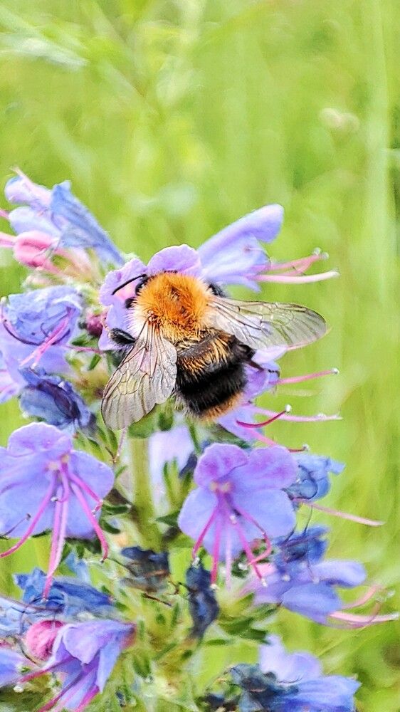 Photograph by Оксана